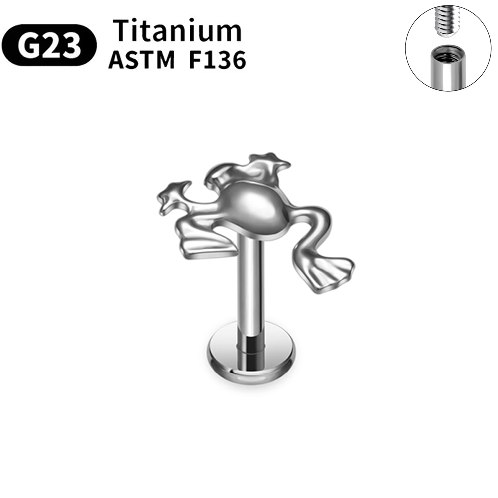 ASTM F136 G23 Titanium Piercin - Body Jewelry Changing Kit review and price